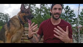 Transform Your Dog in 60 Days by Ty The Dog Guy 354 views 8 months ago 2 minutes, 29 seconds