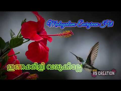 Inakkili varukille malayalamevergreensongs