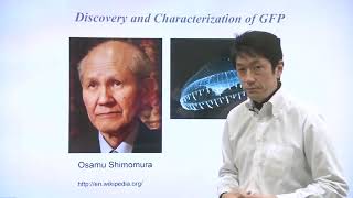 Unit 9 Part 1   Green Fluorescent Protein (GFP)