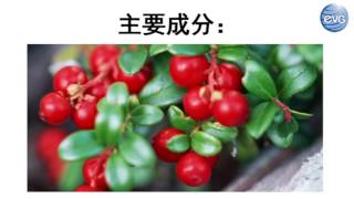 elead product(3)