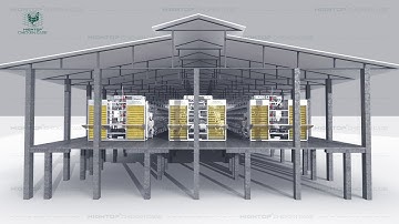 Hightop Automatic Layer Cage System