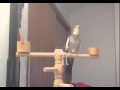 Cockatiel trying to sing Totoro&#39;s song