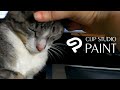 For a purrfect creative experience - try Clip Studio Paint!