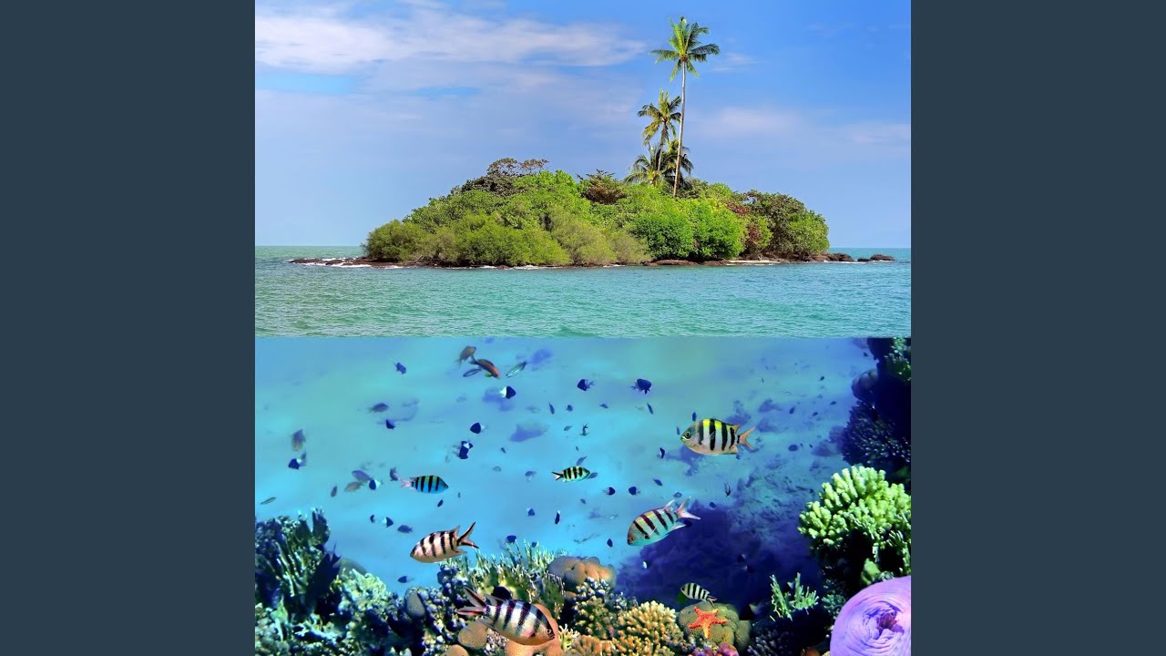 The Earnest Giraffes