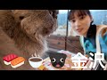 動物カオスに三味線！茶屋街に寿司体験！初夏の金沢に行ってきたぞ！