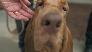 First and Finest: CSP K-9 graduation