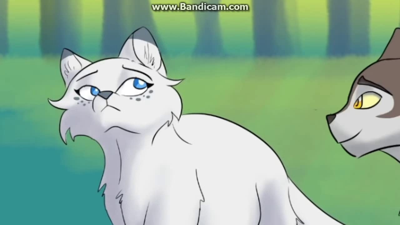 Калина коты воители Калина коты воители