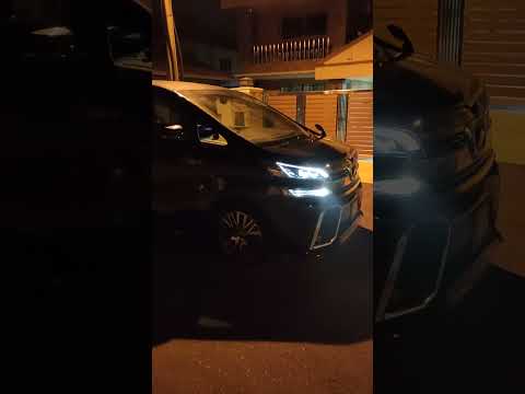 Alphard Vellfire Airport