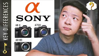 Choosing the RIGHT one.......Sony ALPHA Camera Models