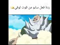 رد فعل سابو من قوت لوفي