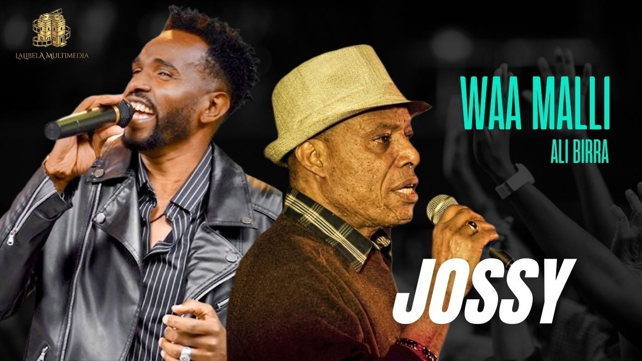 jossy ጆሲ Ali birra waa malli  አሊ ቢራ new live music 2026