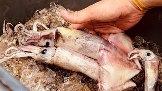Overnight SQUID Fishing Adventure | Rigs & Tips