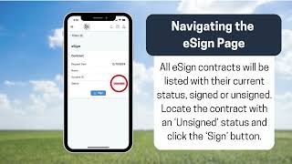 Celebrity Prime Quality: How to E-Sign Contracts Profile