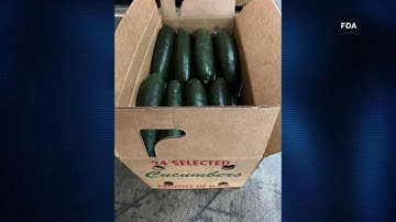 Dozens of people ill due to salmonella outbreak linked to recalled cucumbers
