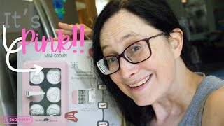 Polar Bear Retro Style Mini Cooler- Unboxing and First Impressions Polar Bear Mini Cooler