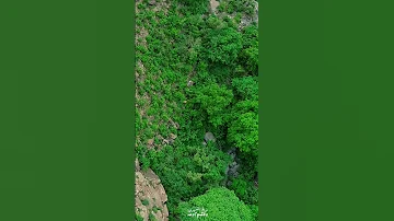 اذا كثرو الشعار ضدي انا مسرور 