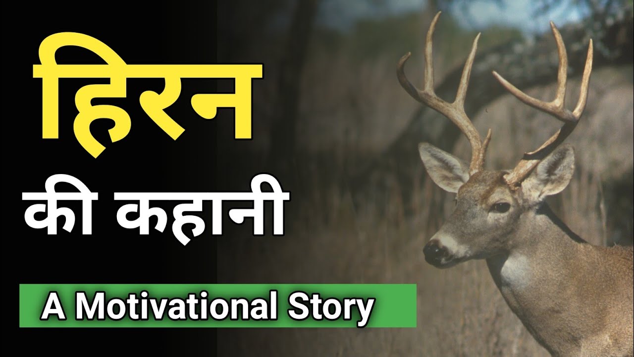 हिरन की कहानी || Motivational story of deer in hindi || Inspiring story of  deer in hindi || Kahani - YouTube