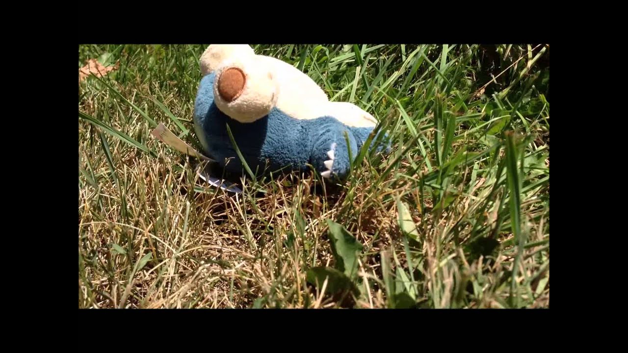 Return of 801Infernape