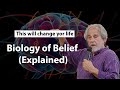 Biology of Belief Explained - Dr Bruce Lipton