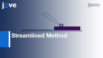 Dissection Drosophila Embryos: Screening Mutant Collections By Antibody Staining l Protocol Preview