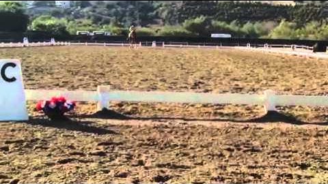 Dressage lesson leg yield in canter