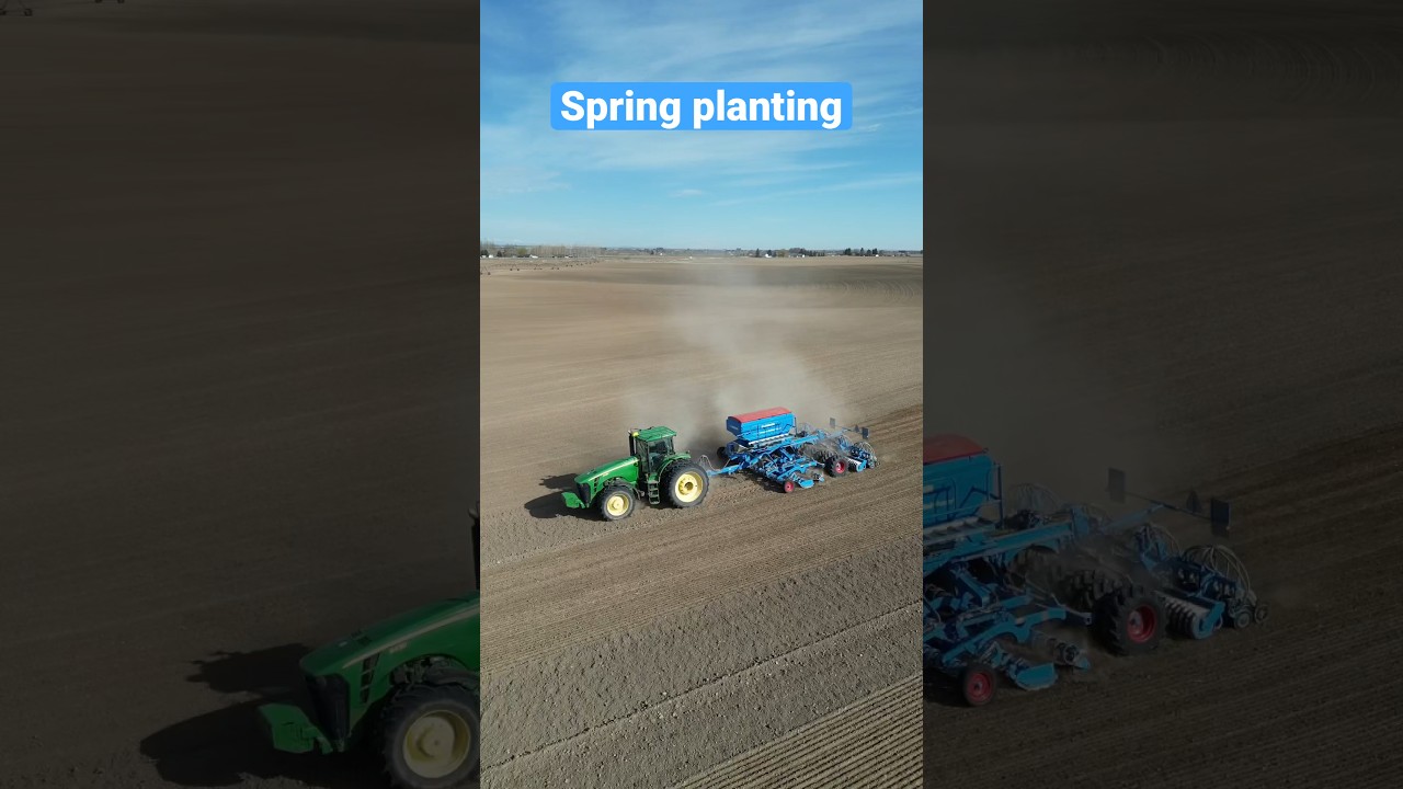 Planting our hay seed. 