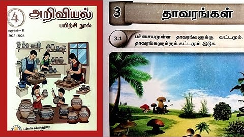 தாவரங்கள் plants 4th standard science workbook term2 unit3 answers 2025-26 @illanthendral7 