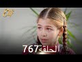 أليف الحلقة 767 دوبلاج عربي أليف الحلقة 767 دوبلاج عربي