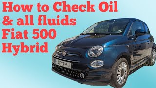 How To Master Check Engine Oil Fiat 500 Hybrid In 6 Simple Steps