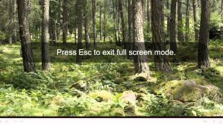 Carin Ivrell Wallsten - Grrr - Hugs_ - Youtube Remake At Cannes.mp4