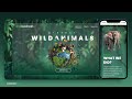How to make an Animated Website using HTML &amp; CSS – Making it Responsive [STEP-BY-STEP GUIDE]