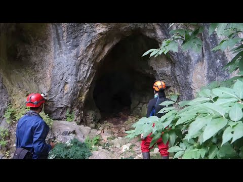 Природните вредности на пештерата Ѓоновица