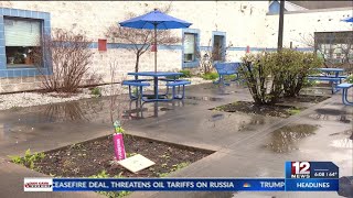 Memorial tree planted for Lewis County High School student