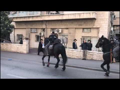 Peleg Yerushalmi Hafganos In Jerusalem