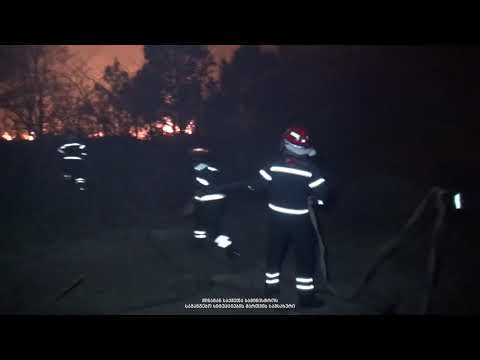 ყულევში გაჩენილი ხანძარი ლიკვიდირებულია