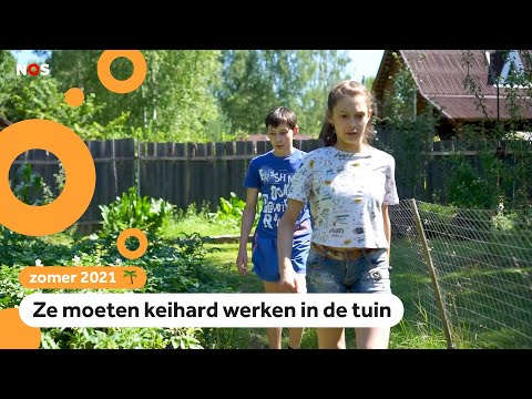 Video: Waar Neem Je Kinderen Mee Op Vakantie In Moskou