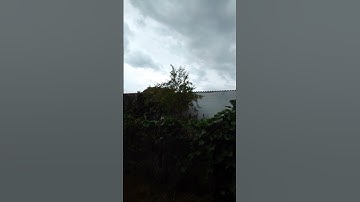 Thumbnail of Leandro e Leonardo-temporal de amor
