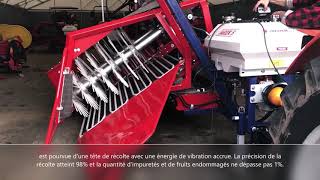 Jagoda Jps French Subles