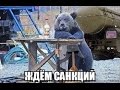 Америка будет добивать Россию