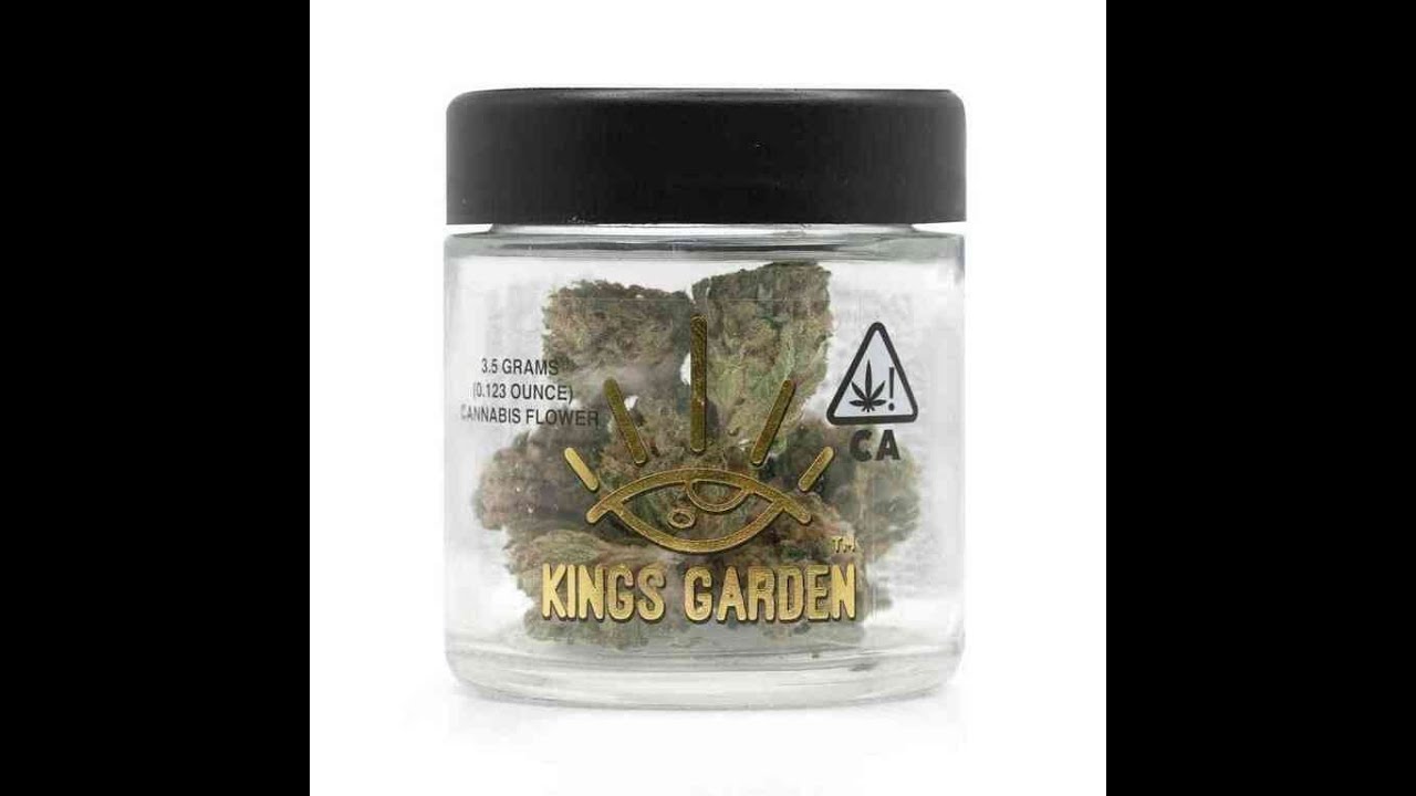 Blue Dream Strain Review Featuring King’s Garden In Long Beach, CA