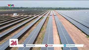 Cận cảnh cánh đồng pin năng lượng mặt trời | VTV24