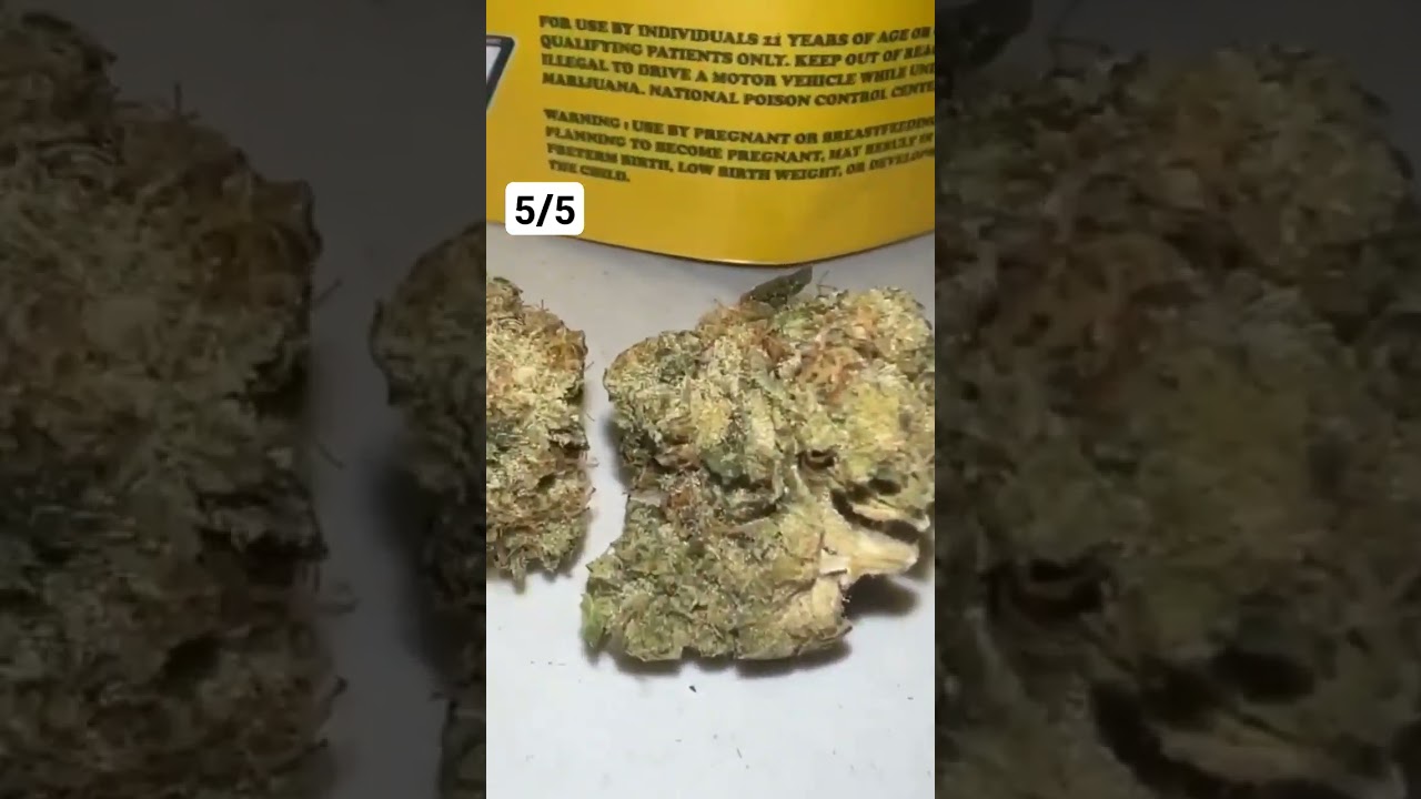 The Smokers Club Jobster (Review) 