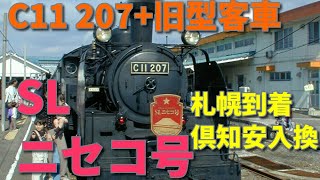 SLニセコ号　C11 207+DE15 1520+旧型客車