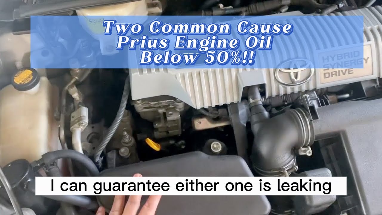 [Eng Sub] Prius Gen3 ZVW30 Lexus CT200H ZWA10 Engine Oil Leak Common