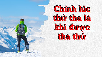 Câu chuyện tha thứ khiến tôi bật khóc và thay đổi cả cuộc đời