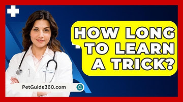 How Long To Learn A Trick? - PetGuide360.com