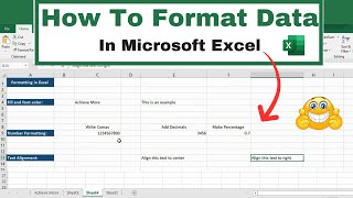 How to Format Data in Microsoft Excel | Tutorial For Beginners  | Lesson 3