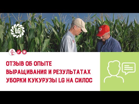 Уборка кукурузы LG