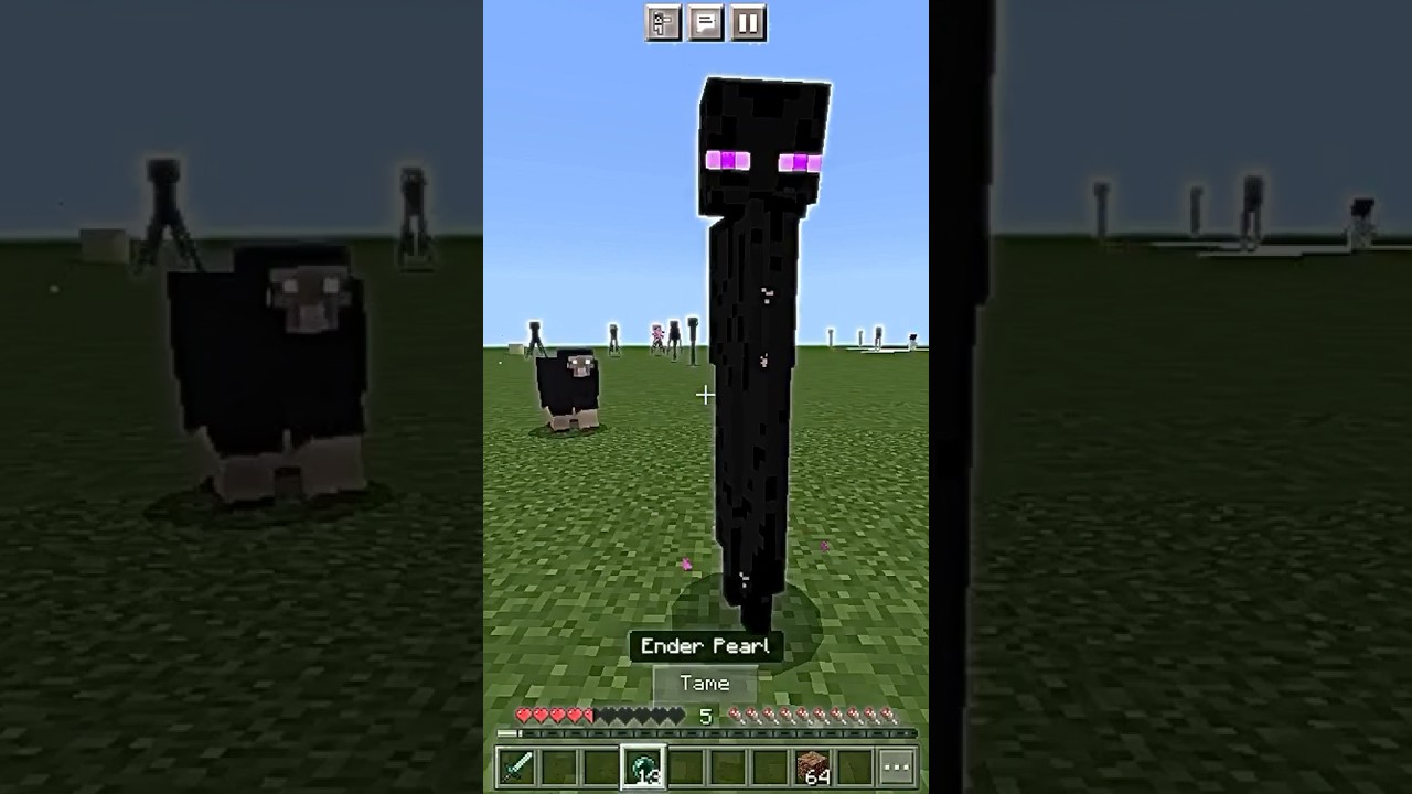 I Tamed an Enderman in Minecraft.minecraft shorts YouTube