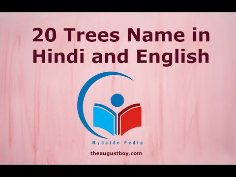 20 Trees Name in Hindi And English | 20 Trees Name in Hindi  |20 Trees Name|@myguidepedia6423